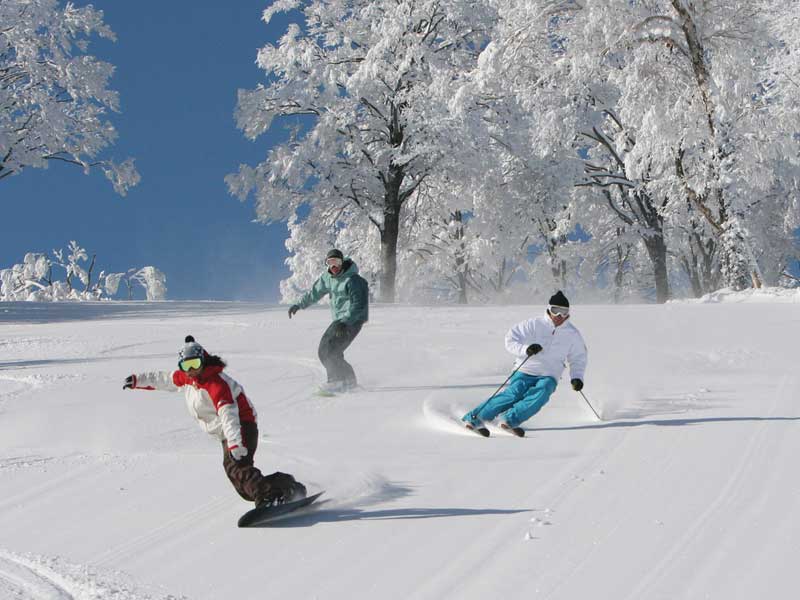 Nozawa Onsen - Skiing in Japan