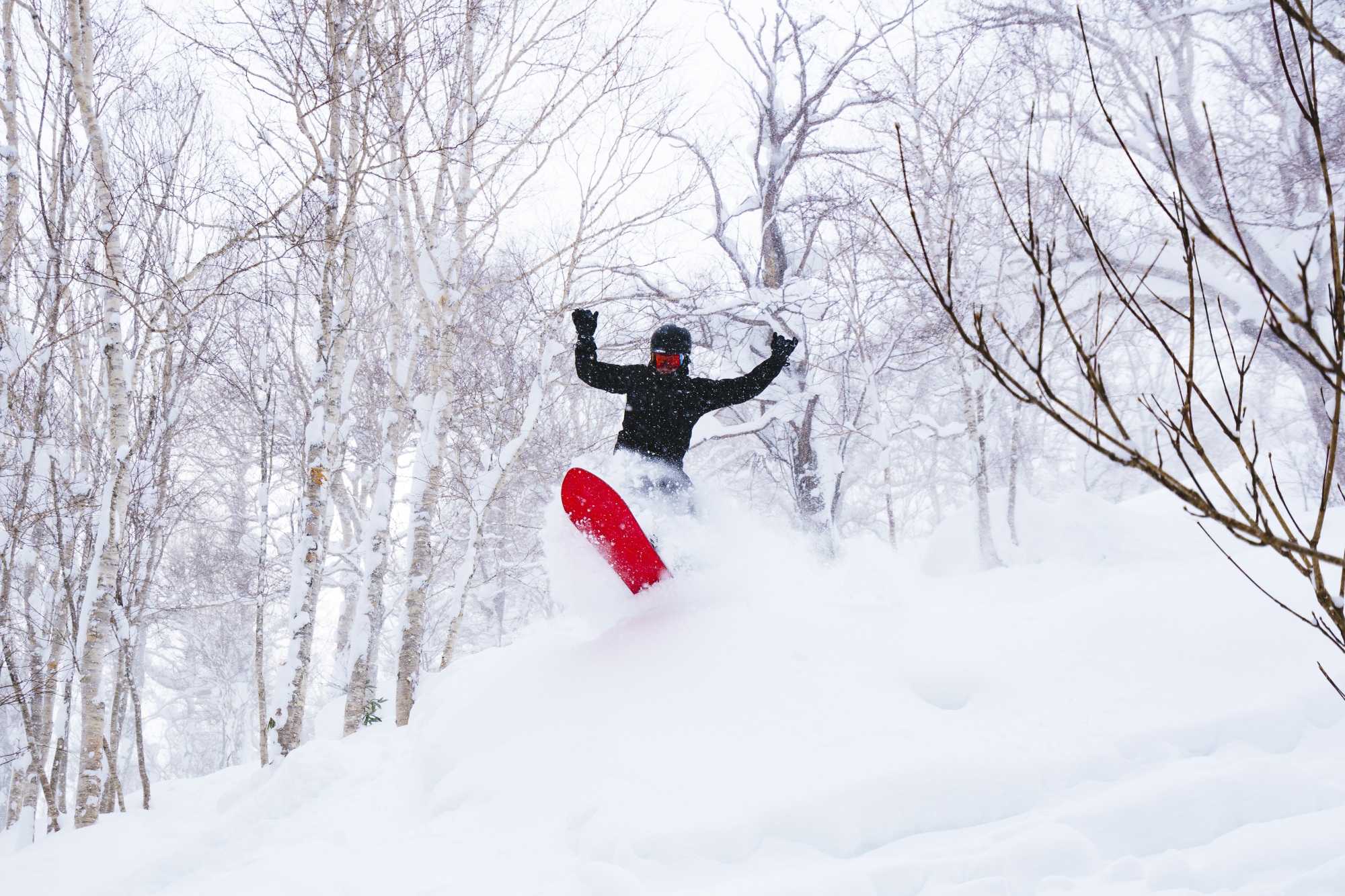 Shiga Kogen – Super Early Bird 2025/26