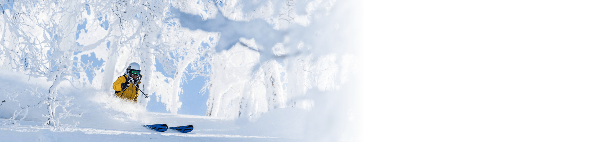 Join Ski Japan at the Sydney Snow Travel Expo