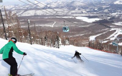 Appi Kogen – Early Bird Offers 2025/26