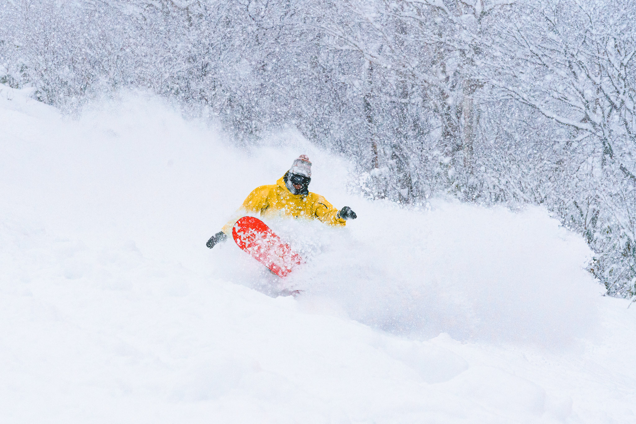 A snowboarder wearing a yellow jacket, a hat, and goggles is turning through deep powder snow, kicking up a large spray of white snow. The background shows snow-covered trees.