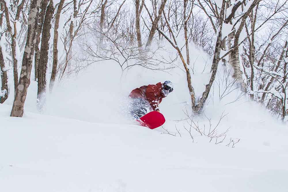 A snowboarder carves through deep powder snow in a forest, kicking up a cloud of snow. The dynamic image captures the thrill of backcountry riding.