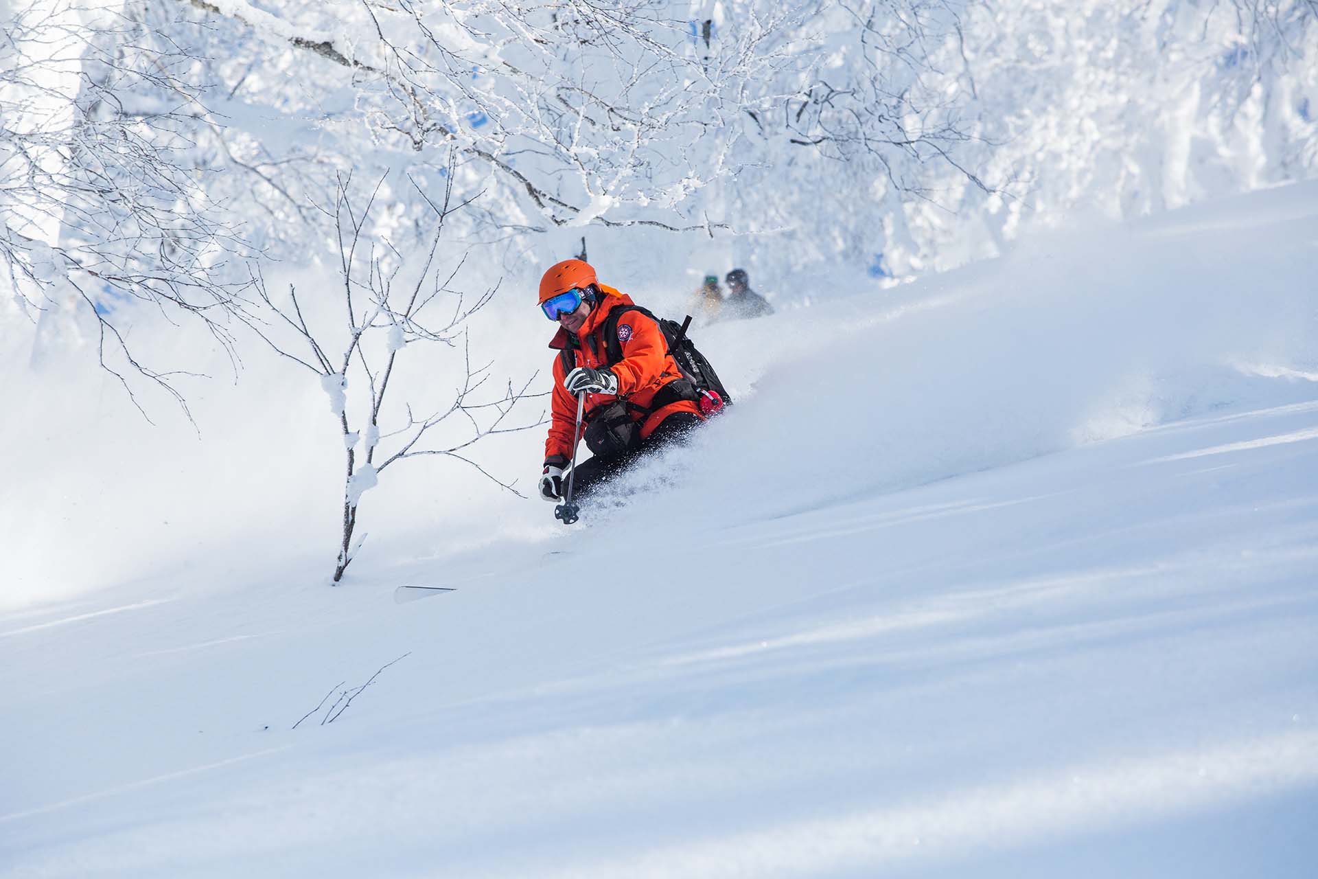 niseko-heli-skiing-2 Skier in bright orange jacket carving through deep powder snow among frosty birch trees on a sunny winter day.