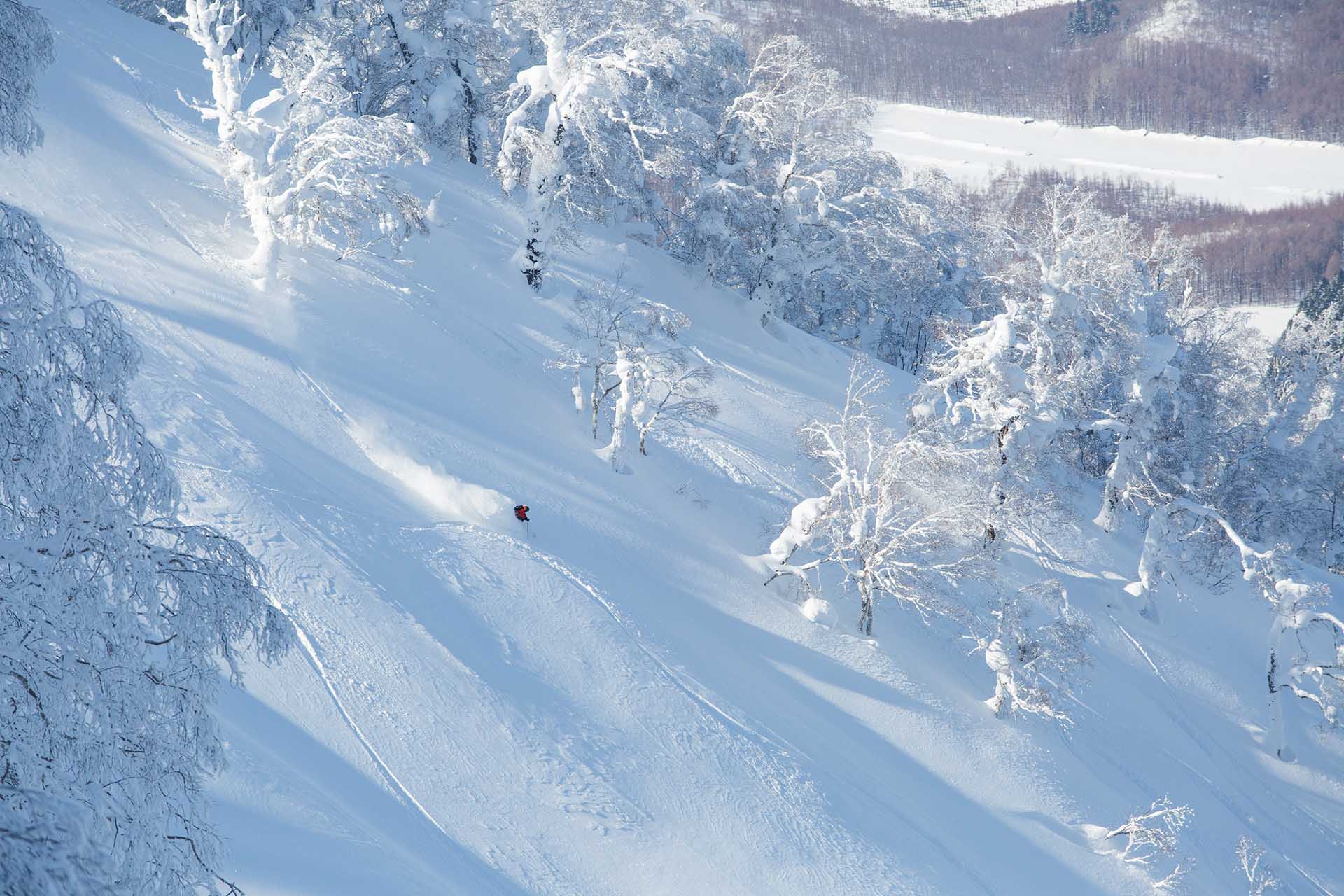 niseko-heli-skiing-5 View from helicopter cockpit flying over snow-covered mountain slope with skiers descending below.