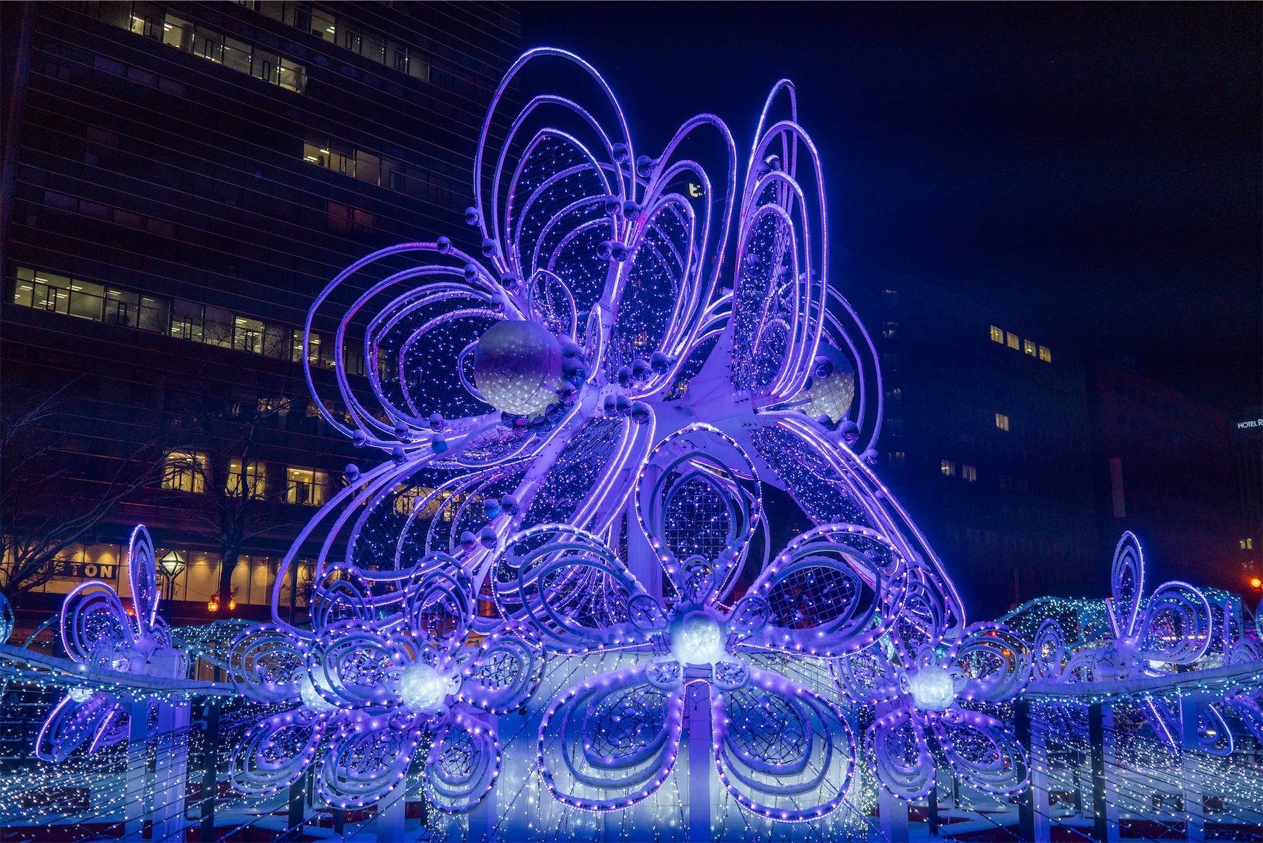 sapporo-christmas-market-2025-11 A large purple and white floral light sculpture glows at night during the Sapporo White Illumination event in Odori Park, Japan.