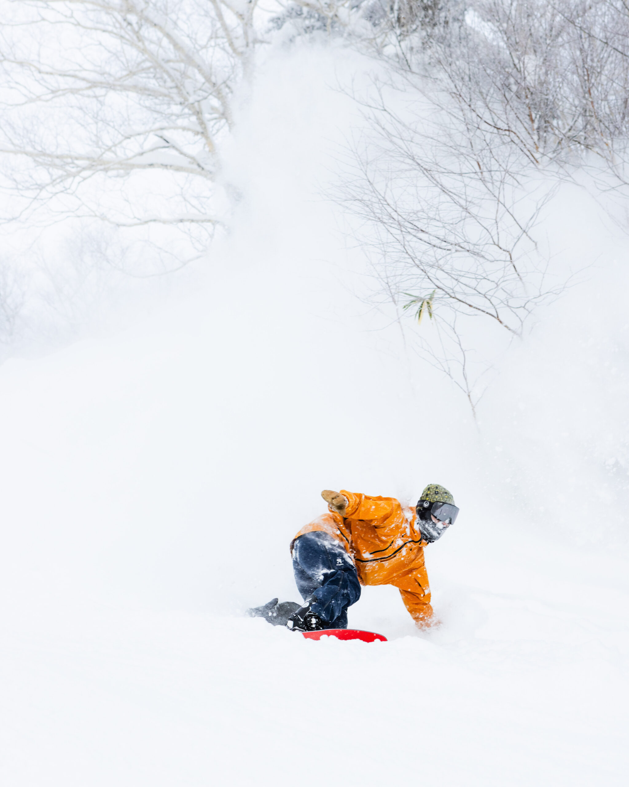Furano_121423-7 Skier in bright orange jacket carving through deep powder snow among frosty birch trees on a sunny winter day.