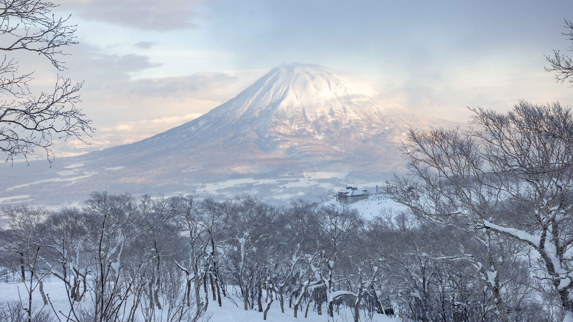 Ski Japan Late December – Niseko Comes Alive Ski Japan Late December – Niseko Comes Alive