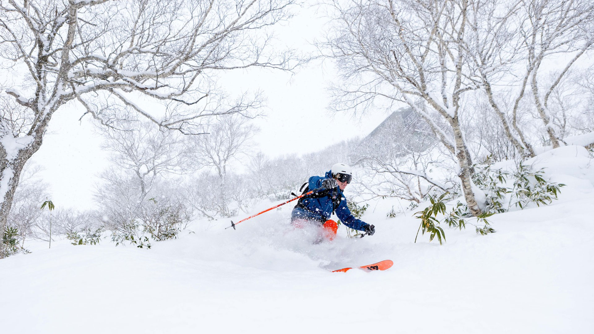 Ski Japan March – Sunshine Meets Powder Ski Japan March – Sunshine Meets Powder